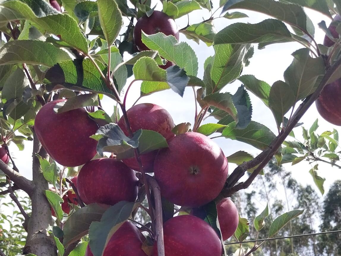 whatsapp image 2025 08 23 at 22.58.04