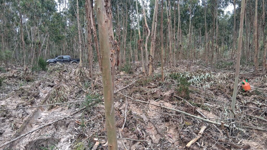 whatsapp image 2025 08 24 at 15.47.19