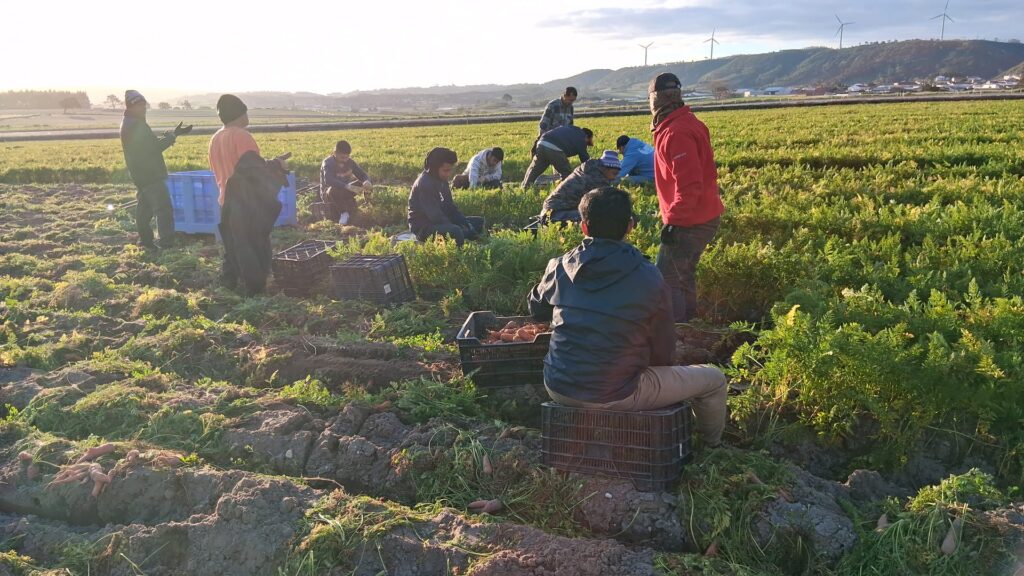 whatsapp image 2025 08 24 at 15.48.23 whatsapp image 2025 08 24 at 15.48.23